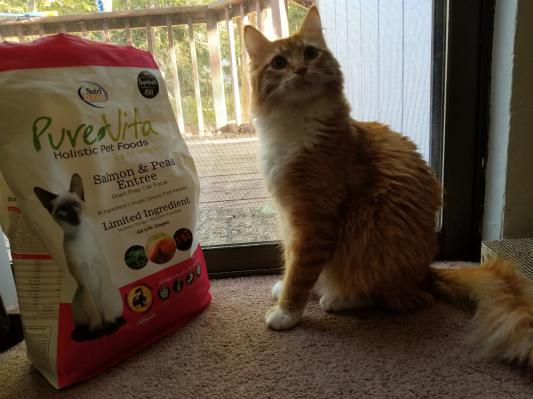 Pura vida cat food best sale