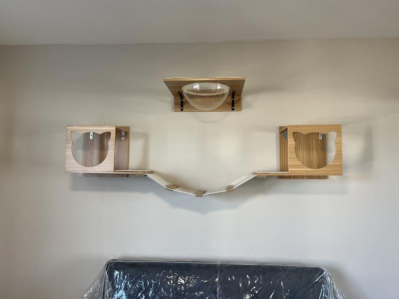 In our cat room. I also added items from additional cat wall furniture after this.