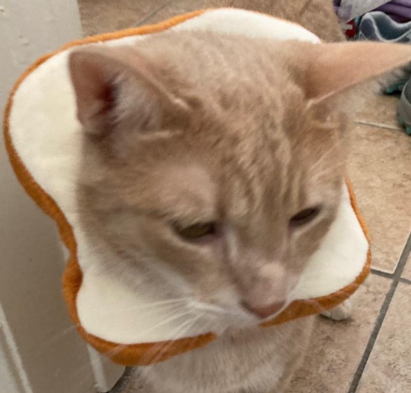 I'm toast if my friends see me!