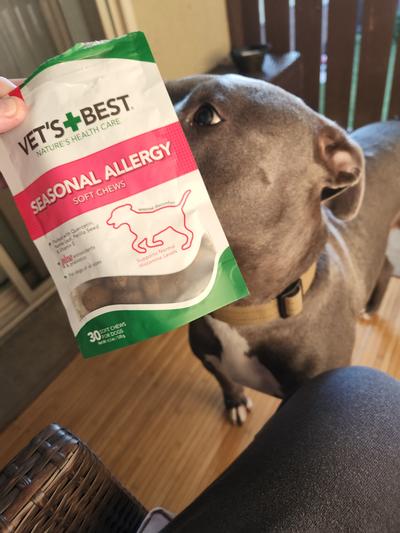 Vet's best seasonal 2024 allergy soft chews