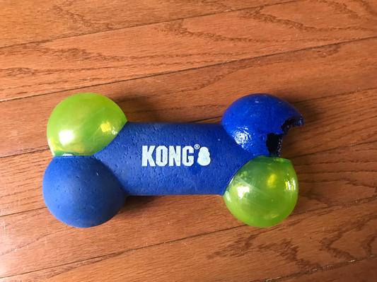 best dog puzzle toys 2022 Outward Hound Dog Puzzle MultiPuzzle