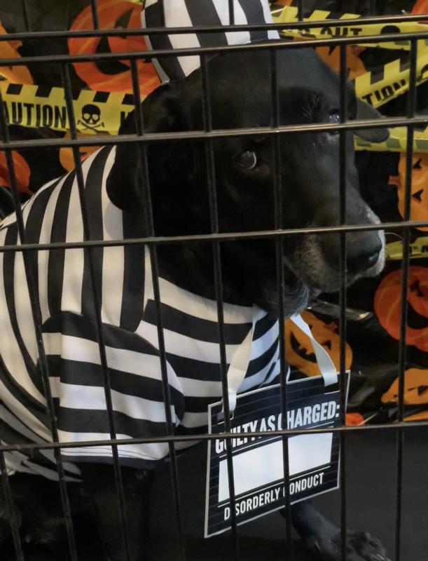 sje understood the assignment LOL