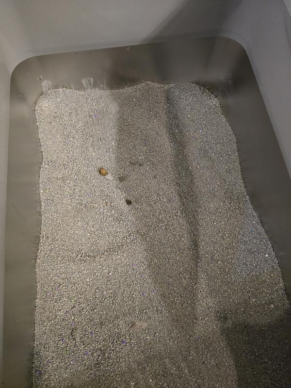 Little clumps left behind