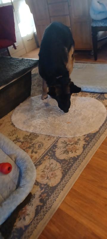 Alll gone except a few crumbs.