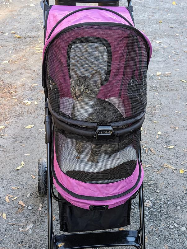 PET GEAR Happy Trails Lite NoZip Pet Stroller, Boysenberry