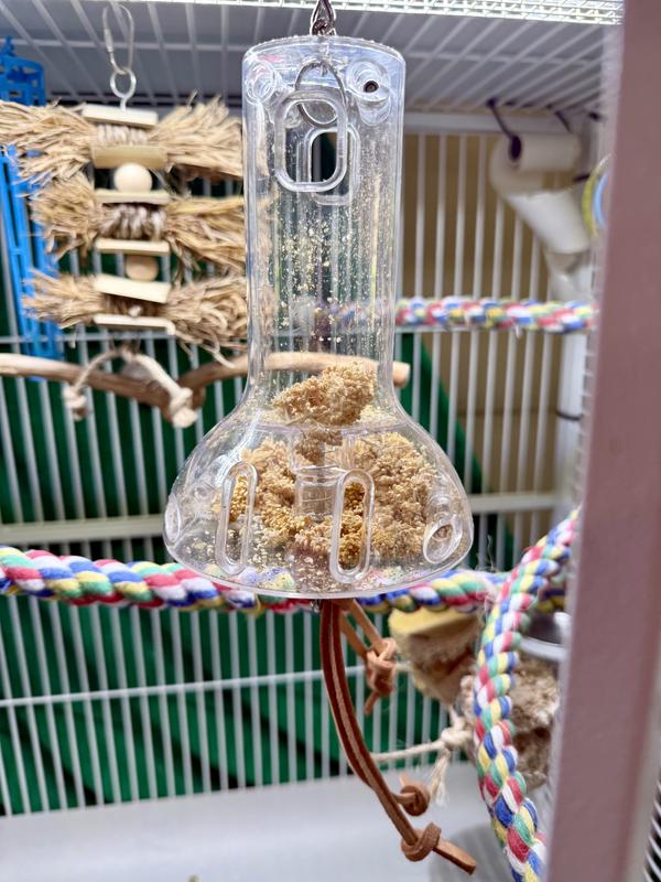 Millet, a favorite treat!