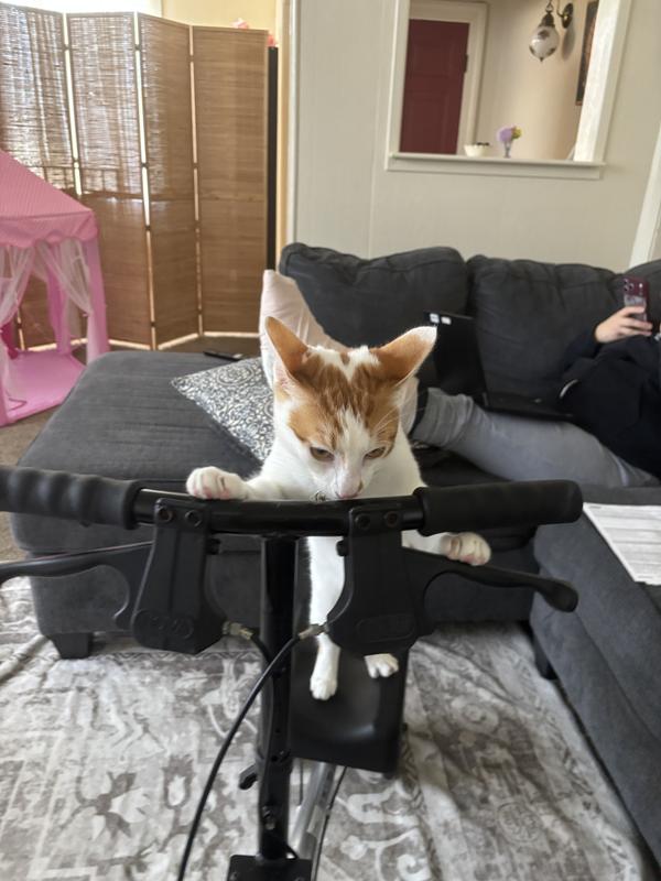 Here’s a picture of my ca on a scooter lol