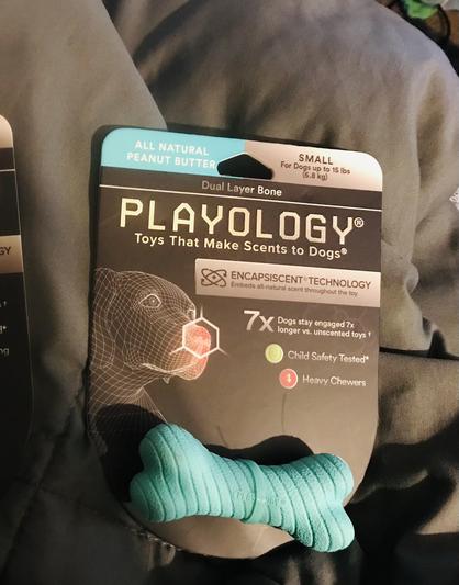 Playology best sale bone review