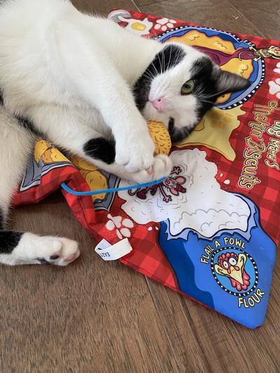 Fat Cat Big Mama's Makin' Biscuits Boogie Mat Cat Toy with Catnip