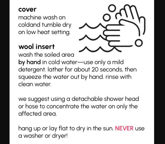 Cleaning Instructions