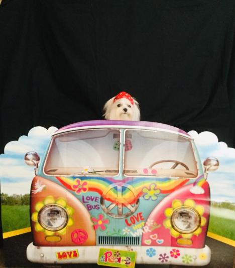 Do you want to take a ride on the love bus with me?
