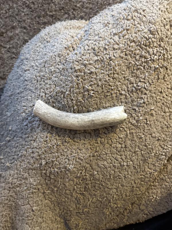 This is not what was on my order