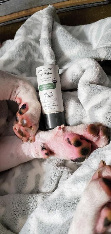 Top paw has an application,  bottom does not