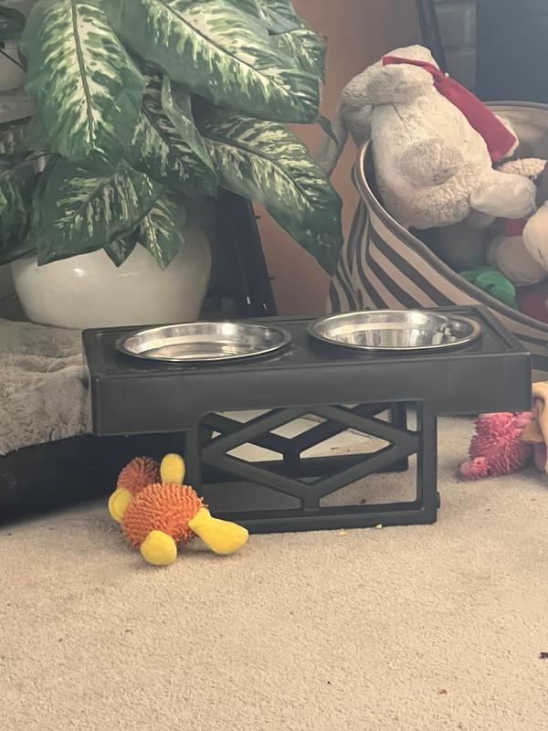 set at medium height...