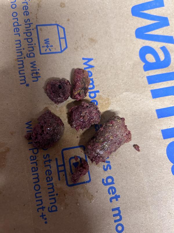 This is what was in his intestines