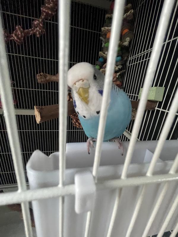 Curious and confused, but hopefully happy. : )