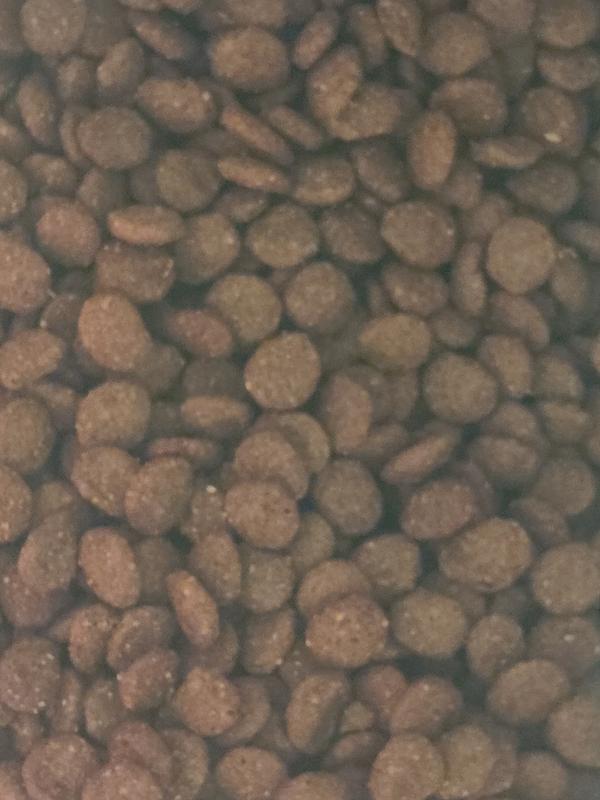 Kismet dog food