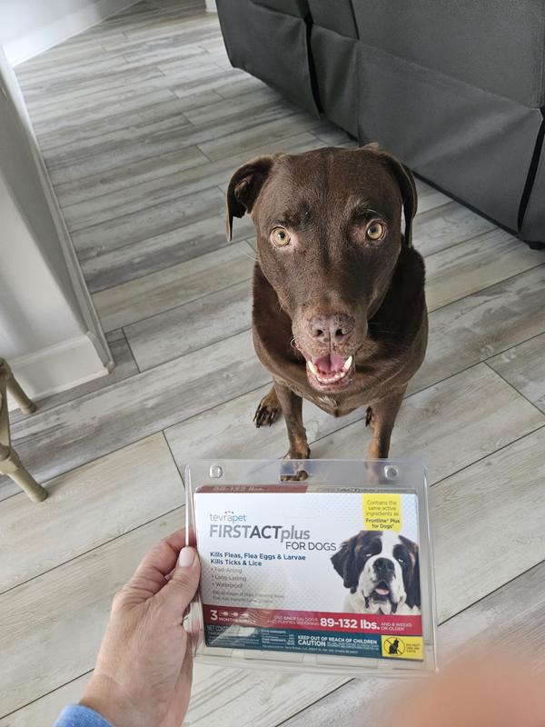 TEVRAPET FirstAct Plus Flea & Tick Spot Treatment for Dogs, 89 - 132lbs ...