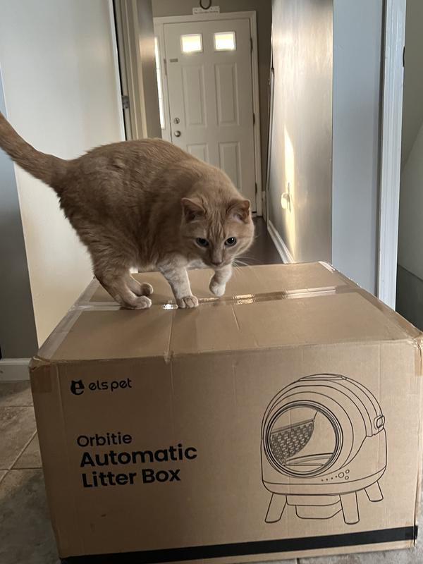 Big box