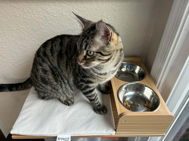 Francis enjoying a snack