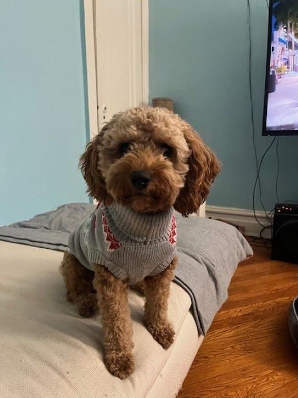 Happy belly, Happy Bailey!