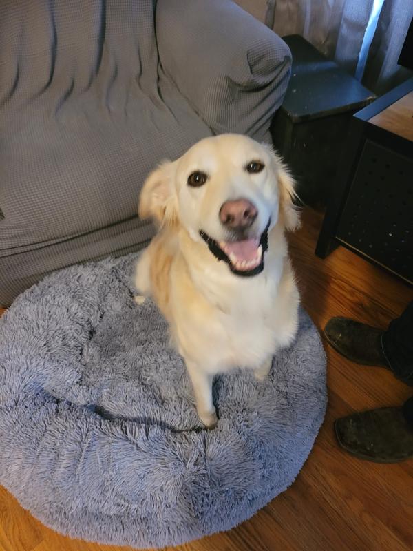 When I took it out of the box & fluffed it up