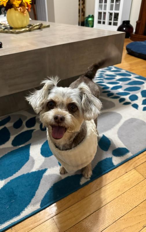 Soft on her neck... a winner!