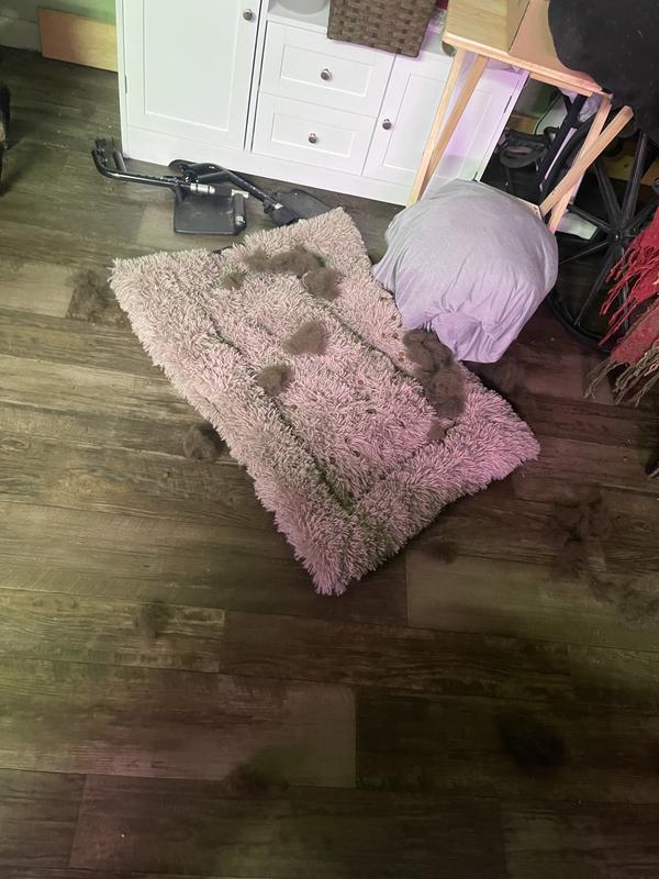 Stuffing everywhere!