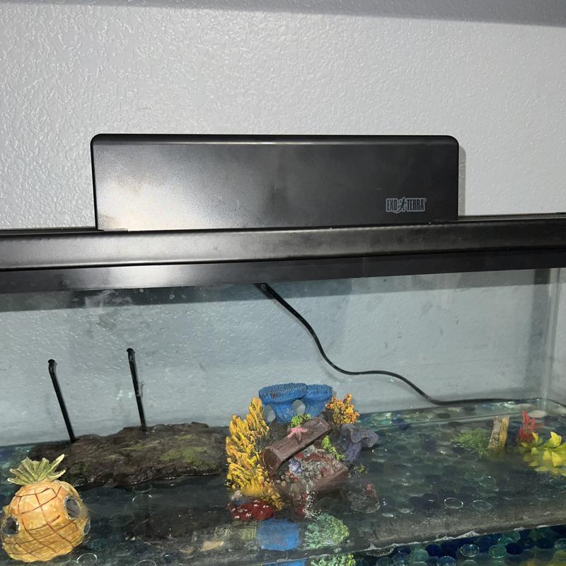 The fixture sits and looks better than a normal lamp.