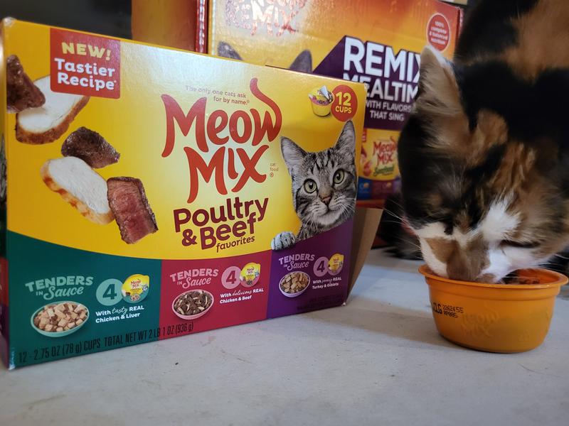 Meow Mix Tender Favorites Poultry & Beef Cat Food Variety Pack