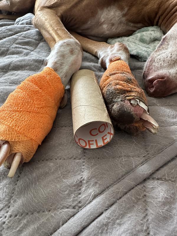 coflex after 3 hours - thin and cheap!