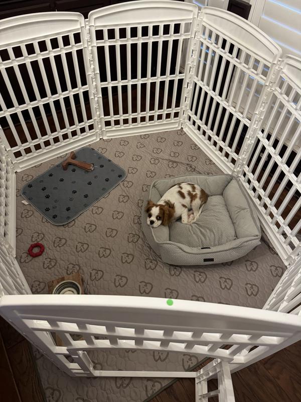 FRISCO 8-Panel Plastic Exercise Dog Playpen, 34