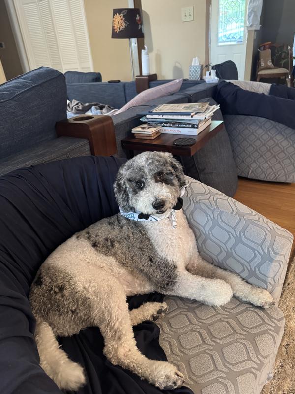 We will trade the sock for a yak.