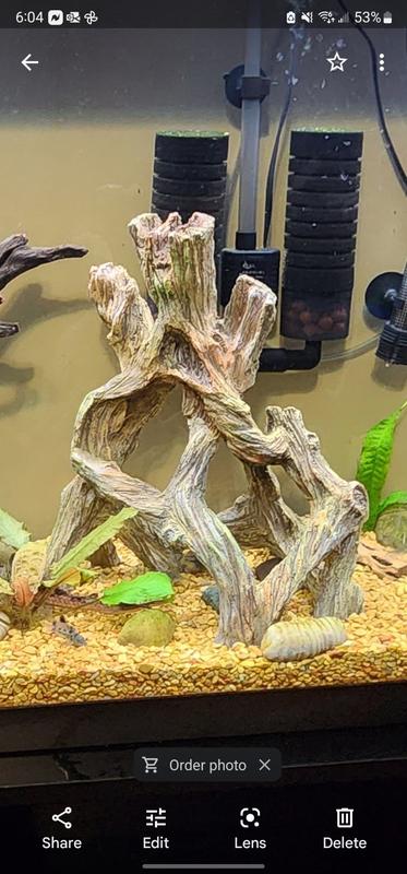 Mangrove shop aquarium decoration