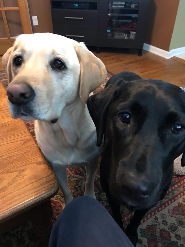 Molly and Bella