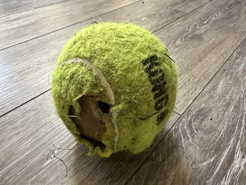 Kong ball with tennis ball inside hotsell