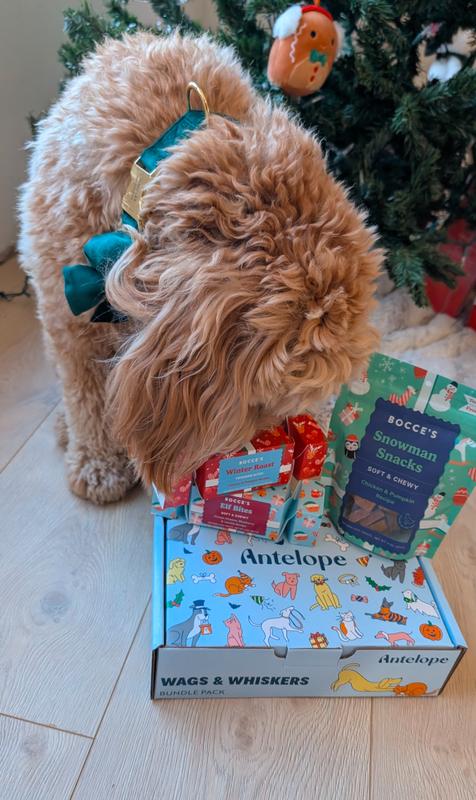 Product Reviews for BOCCE'S BAKERY Santa Paws Holiday Dog Box