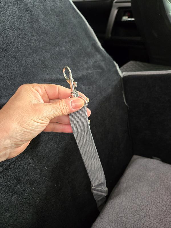 Clip that is built in for securing pet in carrier.