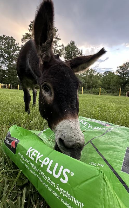 I’m going to eat the whole bag!