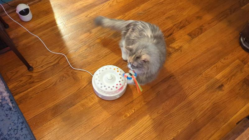 She likes the butterfly