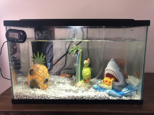 Spongebob aquarium decorations sale