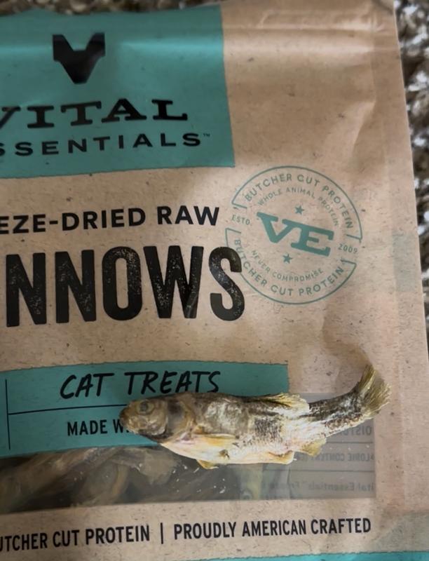 Vital Essentials Salmon Bites Freeze-Dried Raw Cat Treats