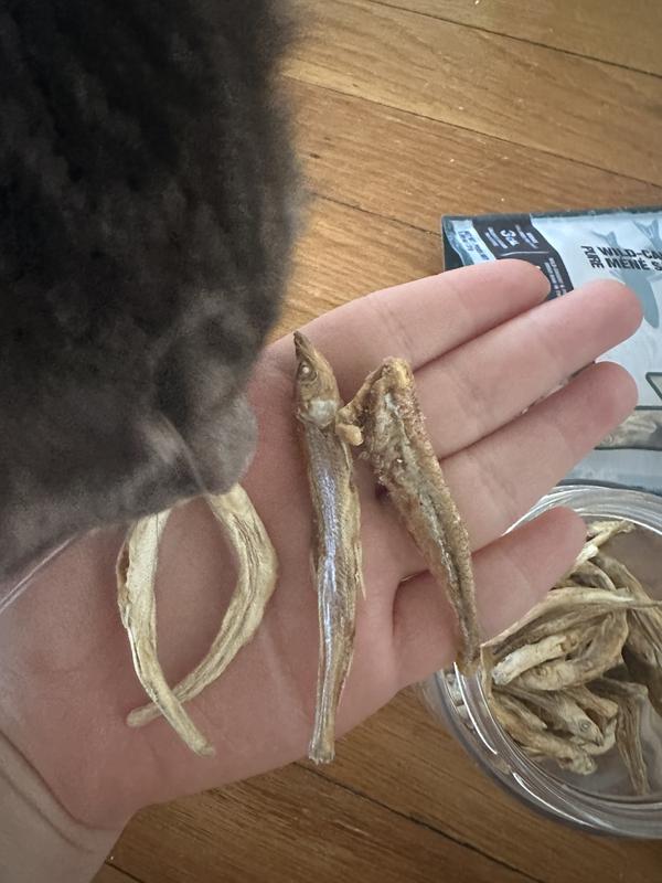 Left is the size before, Right is the size now