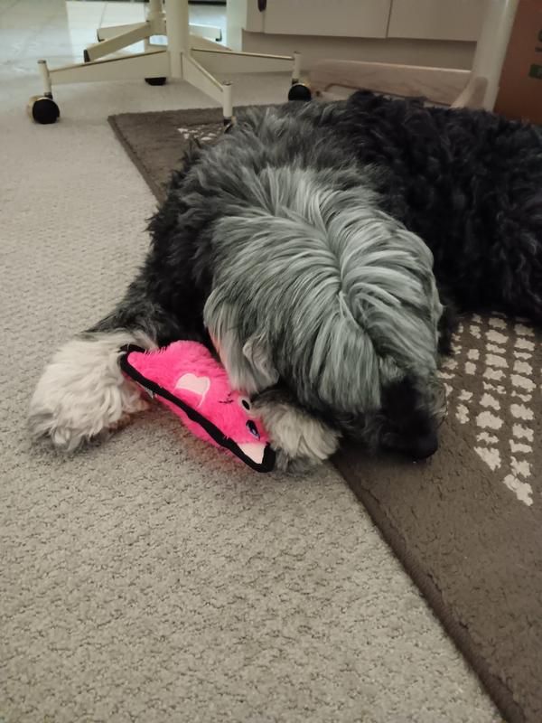 Elle with Toy