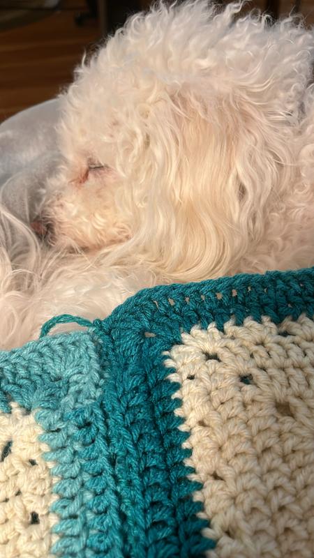 Tonight she is helping me crochet.