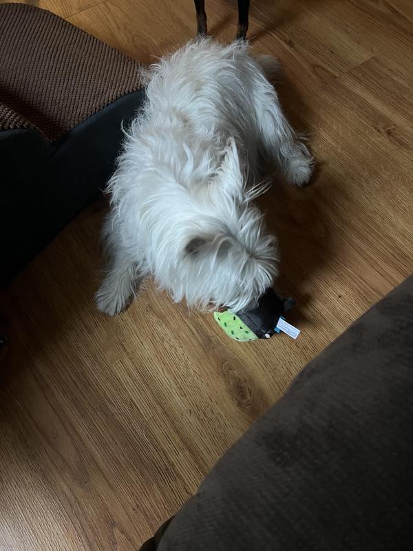 Boys loving the guac bowl