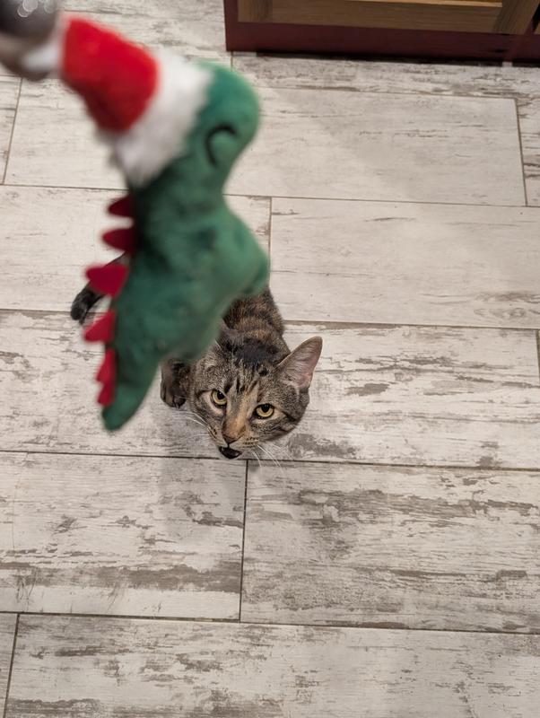 Mom, give it to me! - Whizzy