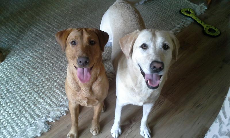 Look Mom clean teeth