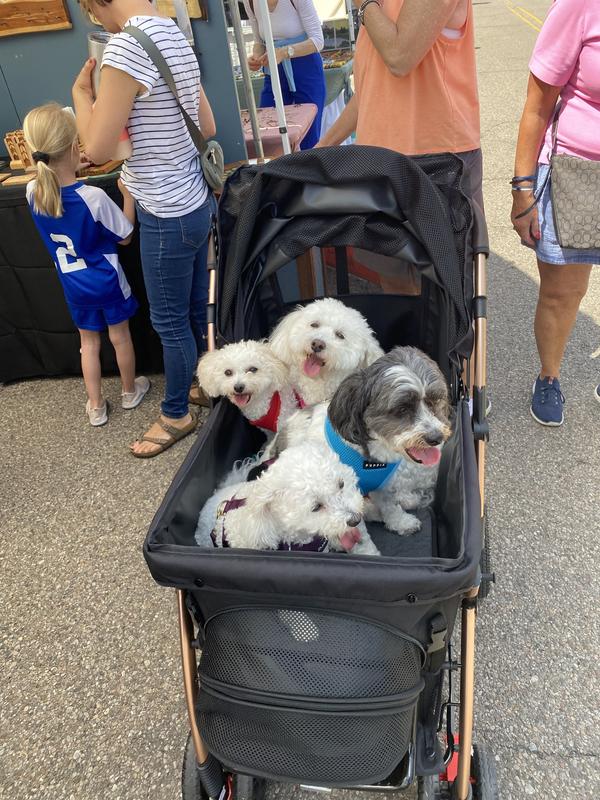 Still room for one more! 😁