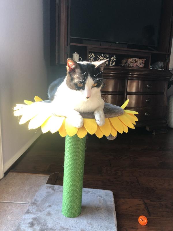 FRISCO Sunflower Cat Scratching Post, Single Post